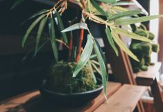 อื่นๆ 3 Raku Rabbit House - Kyoto's unique style villa