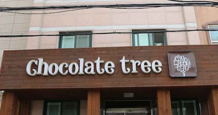 Khác Chocolate Tree