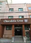 null Chocolate Tree