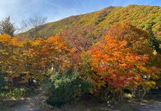 Others 3 Hotel Yunishigawa