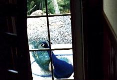 Others 4 Grandvert Izu