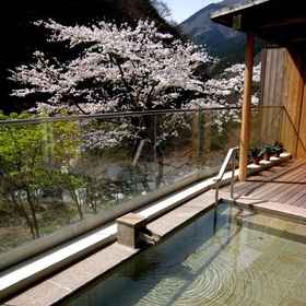 Shingenkan 1, 酒店 菰钓山