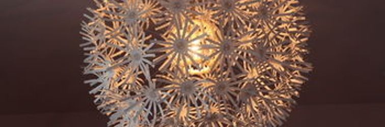 Lobi La Casa Guest House