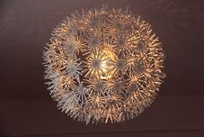 Lobi La Casa Guest House