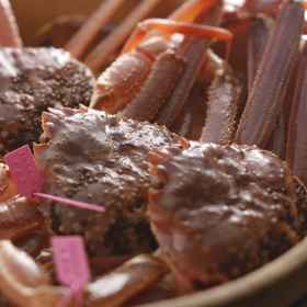 Satsu Onsen Minshuku Umashiyadokadoya1 , 飯店伊丹市