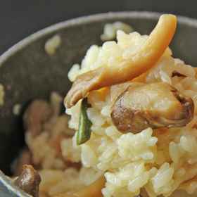 Ryokan Hatsune1 , 飯店田上站