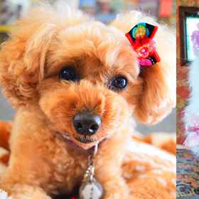 Izu Kogen Onsen Bettei Ishinoya 1, Hotel Itō Station