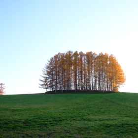 Totonou Place 1, Hotel Kamikawa