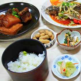 Minshuku Suimeiso <Yakushima>1 , 飯店Kosugidani Rest House