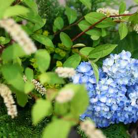 Yamaya Shinkan1 , 飯店大里郡