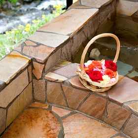 Hotel Rosewood Garden and Villa 1, Villa Nihommatsu-shi