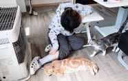 Others 2 Misato Kinenkan, A Guest House Full Of Cats