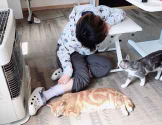 Khác 2 Misato Kinenkan, A Guest House Full Of Cats