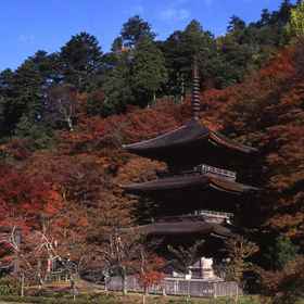 Business Inn Aube Hama 1, Hotel Kyoto Prefecture