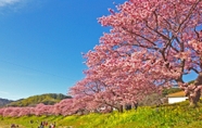 Others 7 Shimoda Onsen Hotel Izukyu