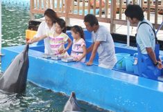 Others 7 Shimoda Onsen Hotel Izukyu