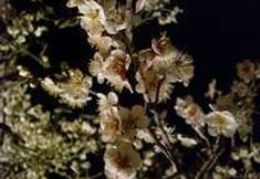 Others 5 Hotel Mito Silver Inn