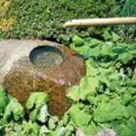 Minsyuku Yamamichi 1, 酒店 富士吉田市