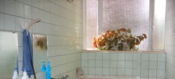 อื่นๆ 2 Pension Yamabudo (Niigata)