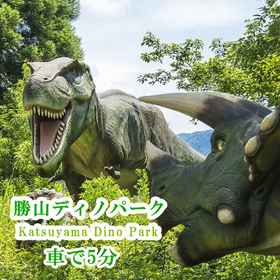 勝山天然溫泉水芭蕉 1, 酒店 越前高田站