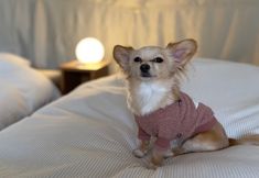 Others 3 Glamping Spa Sendai Mori Komorebi