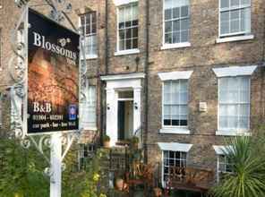 Lainnya Blossoms York