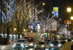 อื่นๆ 7 Hotel Bougain Villea Sapporo