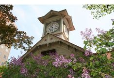 อื่นๆ 3 Hotel Bougain Villea Sapporo