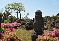Others 2 Jungmun Family Resort