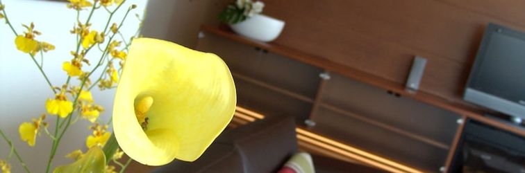 Others Niseko Central -Youtei Tracks