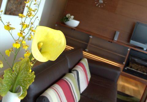 Others Niseko Central -Youtei Tracks