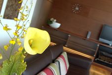 Others Niseko Central -Youtei Tracks