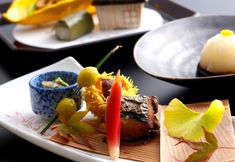 Others 3 Kyoto Arashiyama Onsen Togetsutei