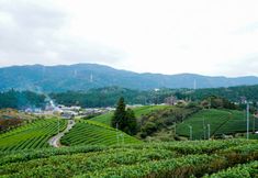 Others 7 Uji Dai Ichi Hotel