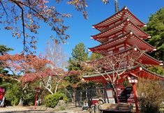 기타 6 Villa Fuji Irodori