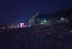 기타 3 Villa Fuji Irodori