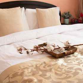 Whiteinn house1 , 飯店万荣乡