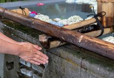 Others 4 Sumiya Seica