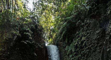 其他 2 Dedary Kriyamaha Ubud by Pramana