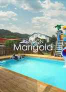 null Marigold Pension