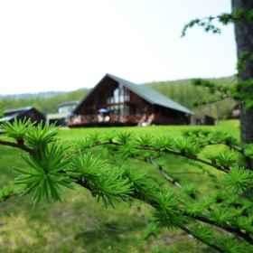 Kanayamako Log Hotel Larch1 , 飯店ニングルカフェ