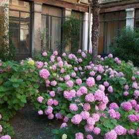 Bed & Venice1 , 飯店圣马可大教堂