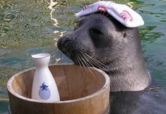 อื่นๆ 2 Hakone Gora Hotel Paipu no Kemuri Plus