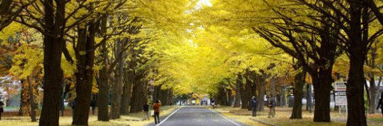 Others Business Hotel Line