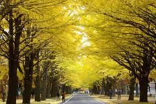 Others Business Hotel Line