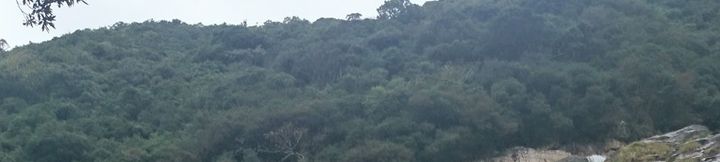 Others 4 Pension Hello