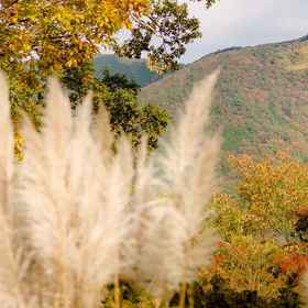 Bettei Koyoi-The Hakone Manor- 1, Hotel Gotemba Premium Outlet Helipad