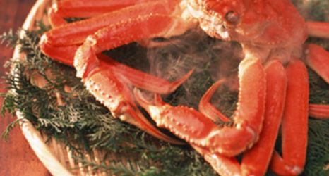 Lain-lain 2 Nabetagawa