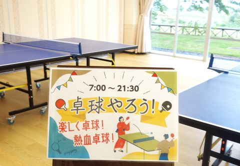 기타 Shogawa Seiryu Onsen Tonamino Shogawaso