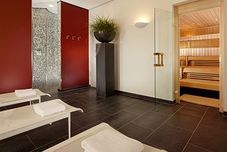 娛樂設施 Swissotel Berlin